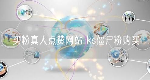买粉真人点赞网站 ks僵尸粉购买