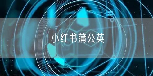 小红书蒲公英