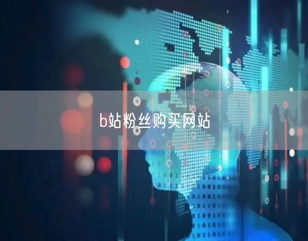 b站粉丝购买网站