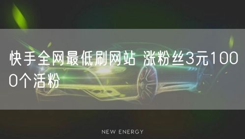 快手全网最低刷网站 涨粉丝3元1000个活粉