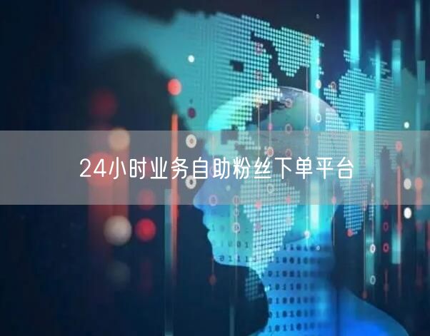 24小时业务自助粉丝下单平台
