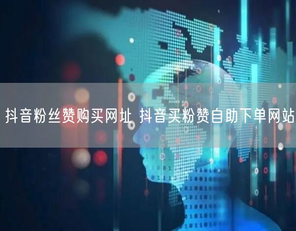 抖音粉丝赞购买网址 抖音买粉赞自助下单网站