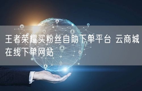 王者荣耀买粉丝自助下单平台 云商城在线下单网站