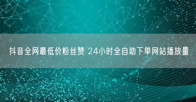 抖音全网最低价粉丝赞 24小时全自助下单网站播放量