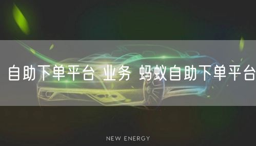 自助下单平台 业务 蚂蚁自助下单平台