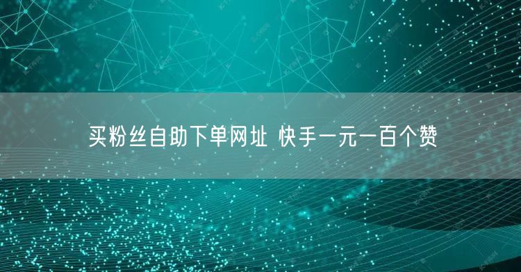 买粉丝自助下单网址 快手一元一百个赞