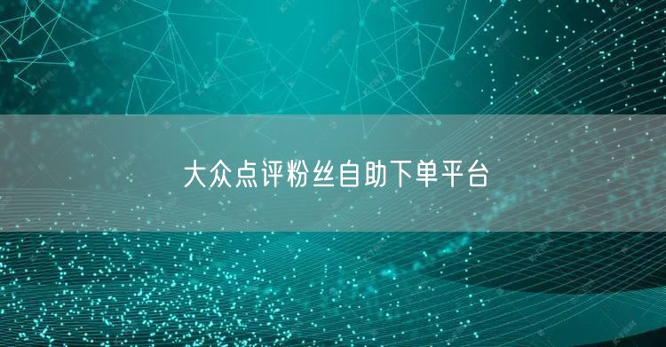 大众点评粉丝自助下单平台