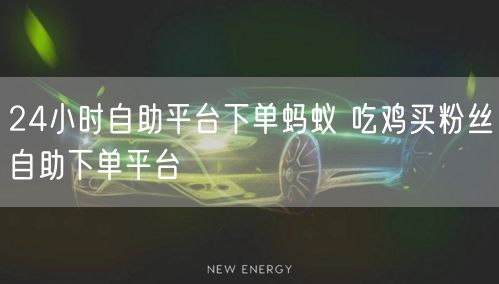24小时自助平台下单蚂蚁 吃鸡买粉丝自助下单平台