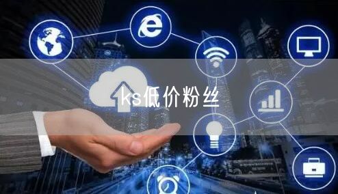 ks低价粉丝