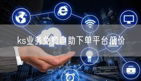 ks业务免费自助下单平台低价