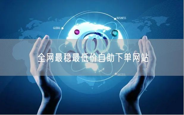 全网最稳最低价自助下单网站