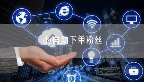 dy自助下单粉丝