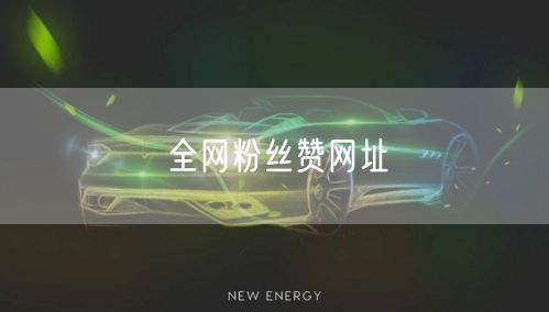 全网粉丝赞网址
