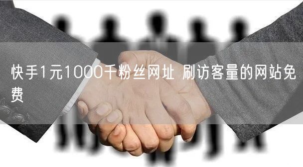 快手1元1000千粉丝网址 刷访客量的网站免费