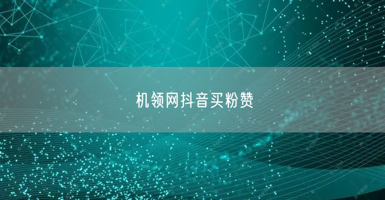机领网抖音买粉赞